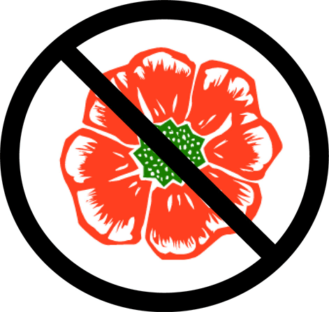 no more poppies